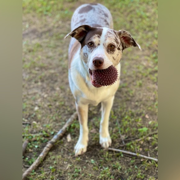 Meet your Posher, Healy - Picture 9 of 12